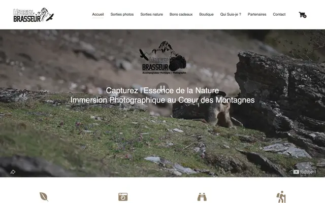 Page d'accueil du site Hadrien Brasseur