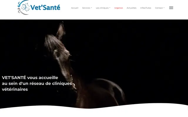 Page d'accueil du site Vet'Santé